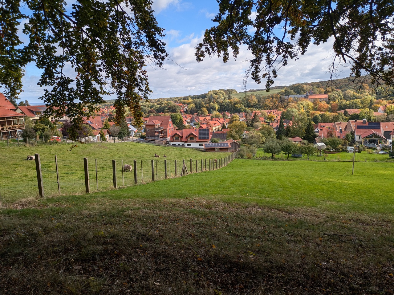 2024 10 13 Wanderung 2