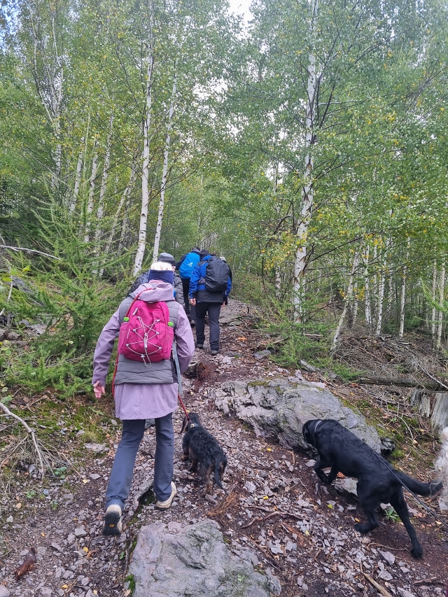 2024 10 13 Wanderung 2