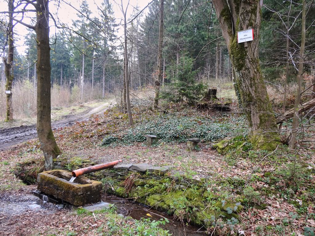 Pferdetrnke Alte Harzstr DSC04550 k